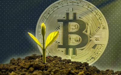 Can bitcoin power the transition to renewable energy?